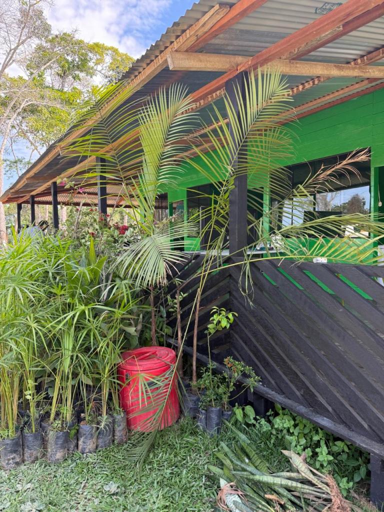 Vista de un jardín con plantas en macetas y un barril rojo, junto a un edificio de color verde.